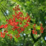 Giới thiệu tác phẩm mới “Có lẽ nào” của tác giả Nguyễn Văn Tân, trưởng khoa Văn hóa – Nghệ thuật và Du lịch