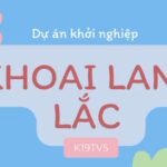 Dự án khởi nghiệp – K19TV5
